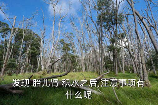 發現 胎兒腎 積水之后,注意事項有什么呢
