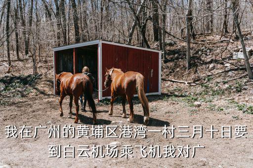 我在廣州的黃埔區港灣一村三月十日要到白云機場乘飛機我對廣
