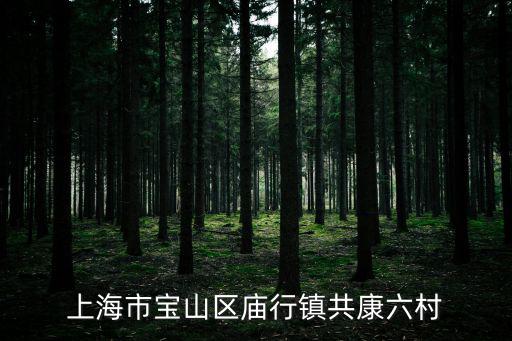 上海市寶山區廟行鎮野野村新聞，上海寶山廟行小額貸款股份有限公司是否真實存在