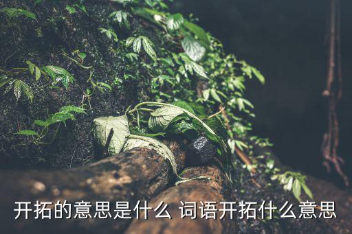 開拓的意思是什么 詞語開拓什么意思