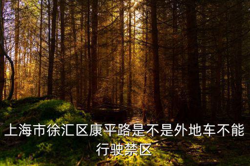 上海市徐匯區康平路是不是外地車不能行駛禁區