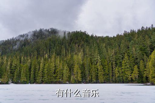 有什么音樂