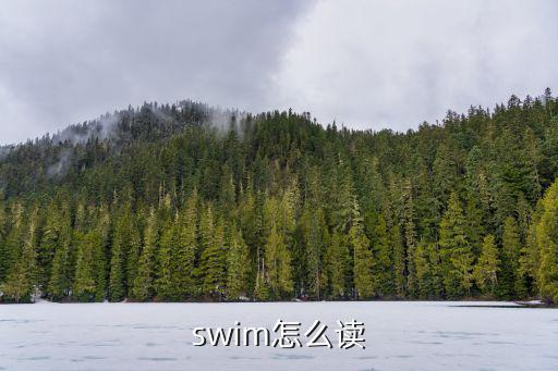 swim怎么讀