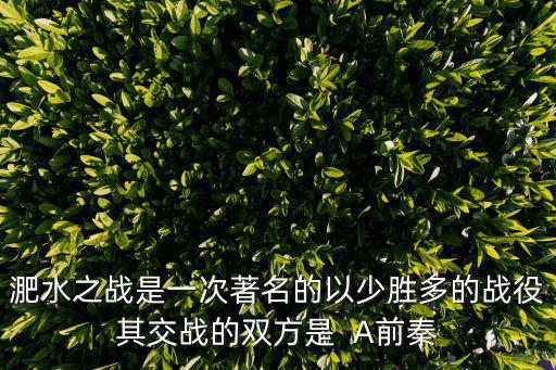 淝水之戰(zhàn)是一次著名的以少勝多的戰(zhàn)役其交戰(zhàn)的雙方是  A前秦