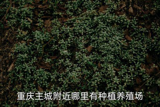 重慶主城附近哪里有種植養殖場