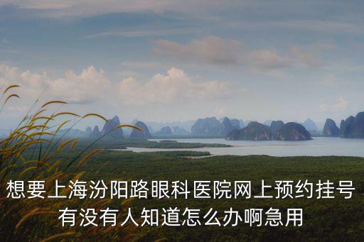 想要上海汾陽(yáng)路眼科醫(yī)院網(wǎng)上預(yù)約掛號(hào)有沒有人知道怎么辦啊急用
