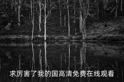 求厲害了我的國高清免費在線觀看