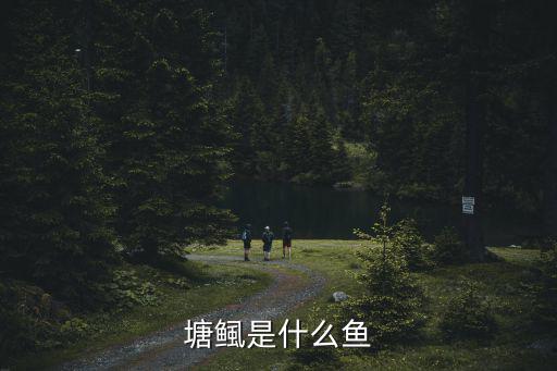 塘鲺是什么魚