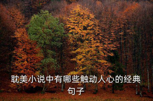  耽美小說中有哪些觸動人心的經(jīng)典 句子