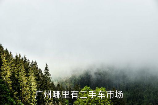 廣州個人急出售二手車，誰知道廣州環球二手車行