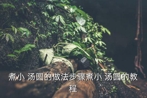煮小 湯圓的做法步驟煮小 湯圓的教程
