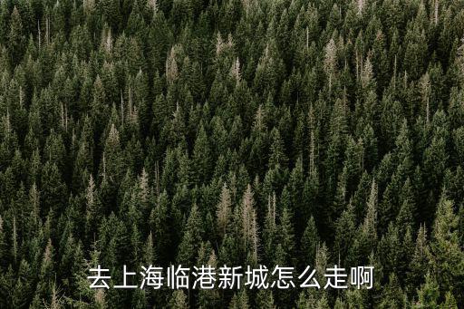 去上海臨港新城怎么走啊
