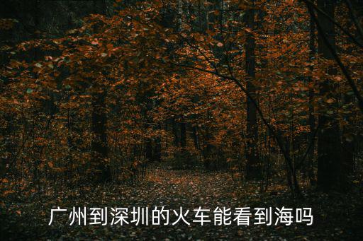 廣州到深圳的火車能看到海嗎