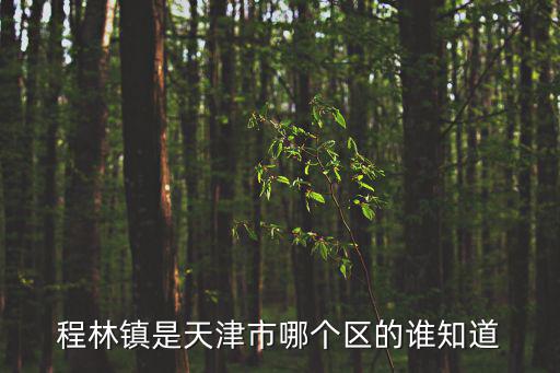 程林鎮是天津市哪個區的誰知道