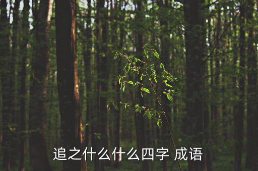 追字成語,追四字成語:追死北，葬尸百萬