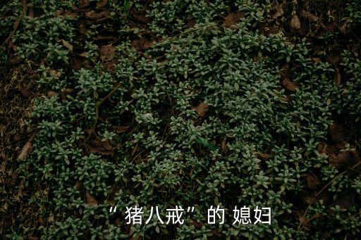 “ 豬八戒”的 媳婦