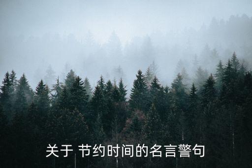 關于 節約時間的名言警句