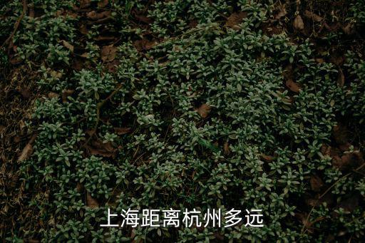 上海距離杭州多遠