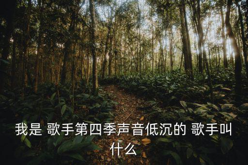我是 歌手第四季聲音低沉的 歌手叫什么