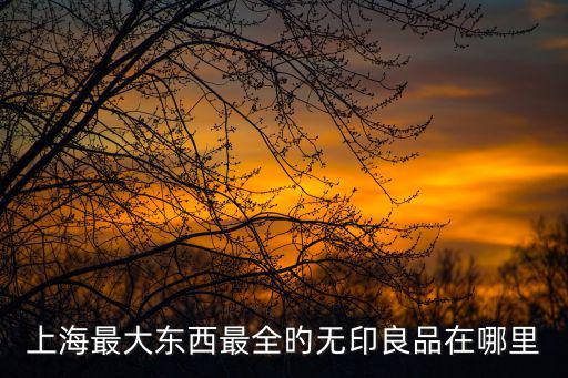 上海最大東西最全旳無印良品在哪里