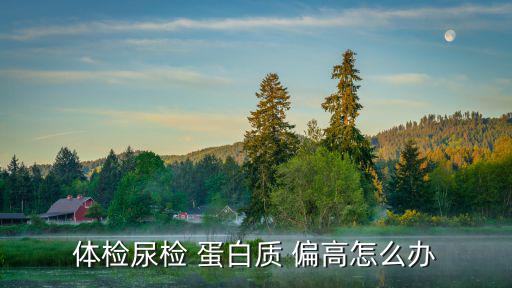 體檢尿檢 蛋白質 偏高怎么辦
