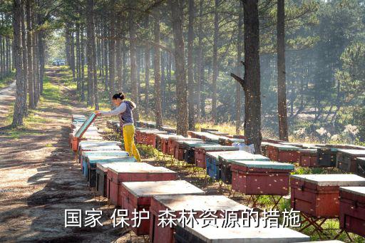 國家 保護(hù) 森林資源的措施