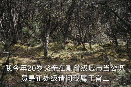 我今年20歲父親在副省級城市當公務(wù)員是正處級請問我屬于官二