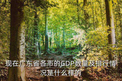 廣州2019年GDP是怎么了，廣州市全市地區(qū)生產(chǎn)總值已連續(xù)19年居國(guó)內(nèi)城市第幾位