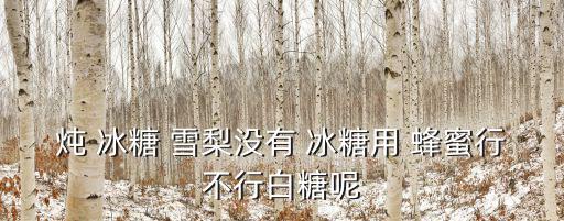 燉 冰糖 雪梨沒有 冰糖用 蜂蜜行不行白糖呢