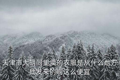 天津市胡同里，天津市大胡同里賣的衣服是從什么地方批發來的啊這么便宜