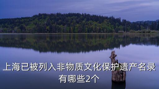 上海市徐匯區物質文化遺產，上海的非物質文化遺產是什么