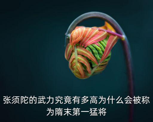 張須陀的武力究竟有多高為什么會被稱為隋末第一猛將