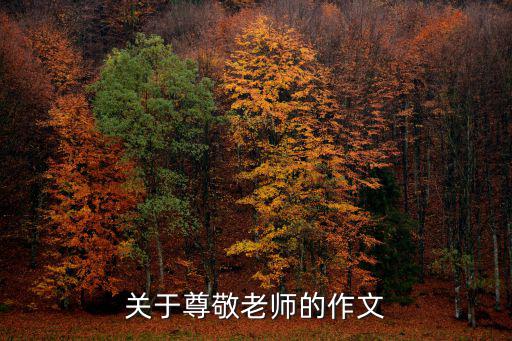 關于尊敬老師的作文