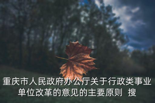 重慶市人民政府辦公廳關于行政類事業單位改革的意見的主要原則  搜