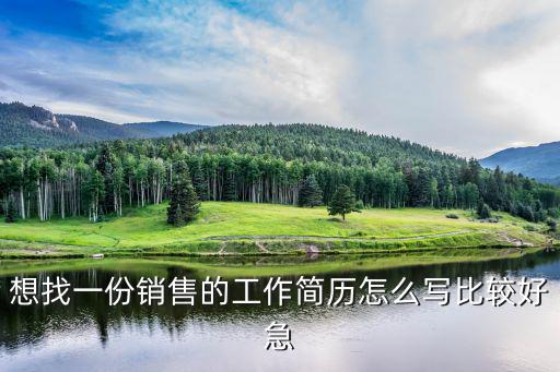 想找一份銷售的工作簡歷怎么寫比較好急