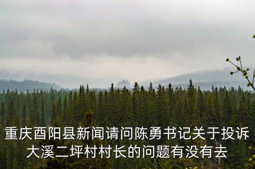 重慶酉陽縣新聞請問陳勇書記關于投訴大溪二坪村村長的問題有沒有去