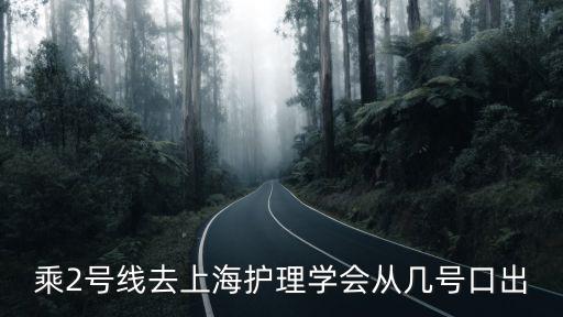 乘2號線去上海護理學(xué)會從幾號口出