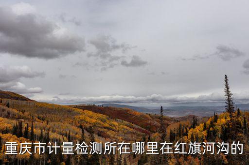 重慶市計量檢測所在哪里在紅旗河溝的