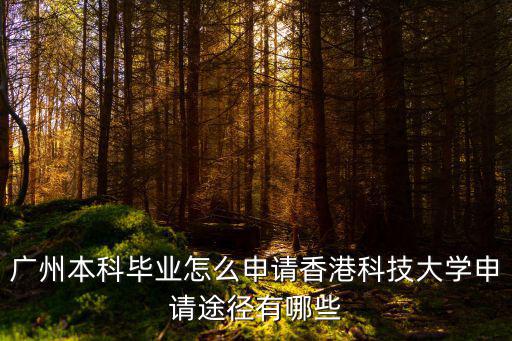 廣州本科畢業怎么申請香港科技大學申請途徑有哪些