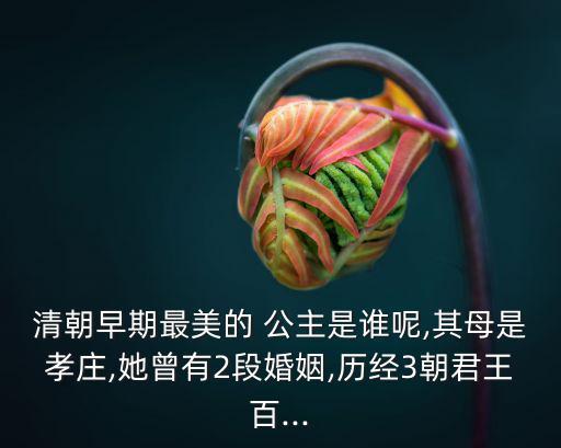 清朝早期最美的 公主是誰呢,其母是孝莊,她曾有2段婚姻,歷經(jīng)3朝君王百...