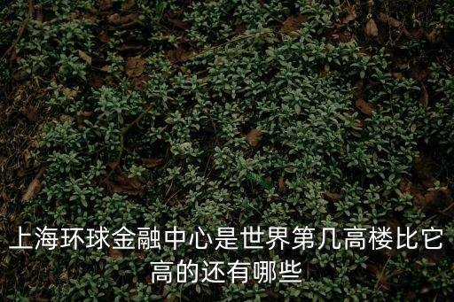 上海環(huán)球金融中心是世界第幾高樓比它高的還有哪些