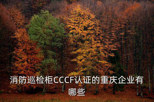 消防巡檢柜CCCF認(rèn)證的重慶企業(yè)有哪些