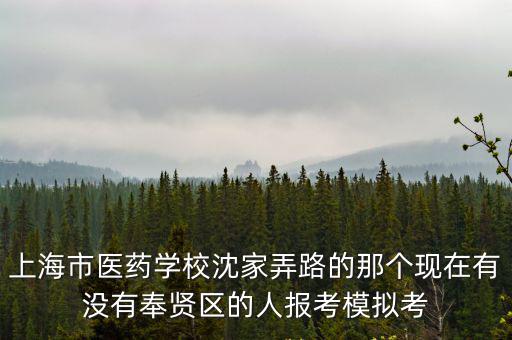 上海市醫(yī)藥學(xué)校沈家弄路的那個(gè)現(xiàn)在有沒有奉賢區(qū)的人報(bào)考模擬考