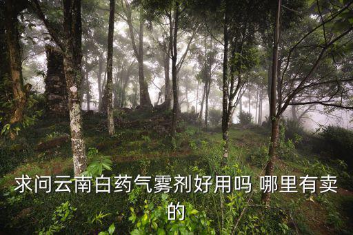 求問云南白藥氣霧劑好用嗎 哪里有賣的