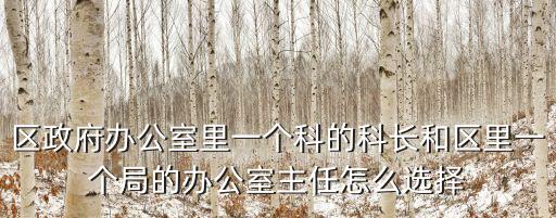 區(qū)政府辦公室主任，寧江區(qū)政府辦公室副主任是什么級(jí)別