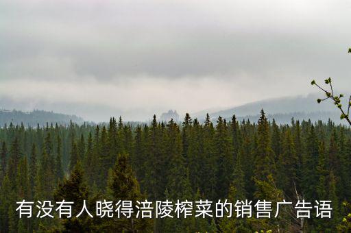 有沒有人曉得涪陵榨菜的銷售廣告語