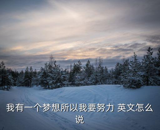 我有一個夢想英文,我有一個夢想我會努力實現