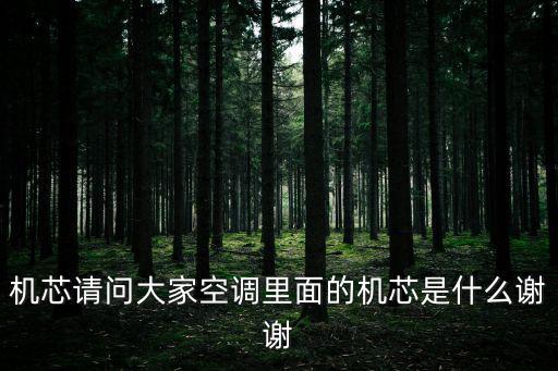 機芯請問大家空調里面的機芯是什么謝謝