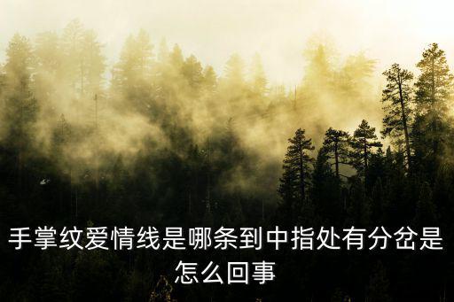 手掌紋愛情線是哪條到中指處有分岔是怎么回事