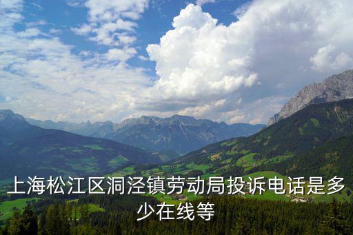 上海松江區洞涇鎮勞動局投訴電話是多少在線等